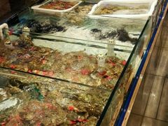 -马路边上·小海鲜烧烤(八一路店)