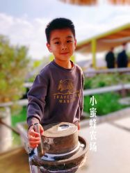 -小蜜蜂农场(凯德七宝购物广场店)