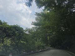 -波尔登森林公园