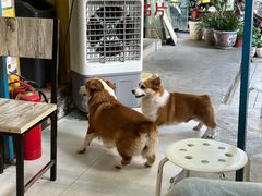 -小梁哥云吞面(黄贝岭店)