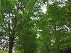 -广富林郊野公园