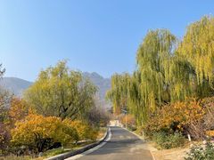 -北京鹫峰国家森林公园