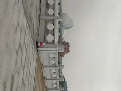 -野狸岛