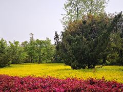 -水上明月·湖景餐厅