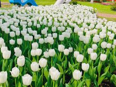 -玄武湖景区-情侣园游乐场