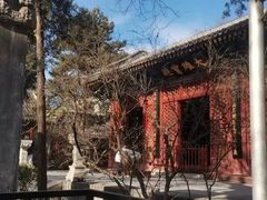 -大觉寺-停车场