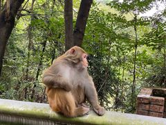 -重庆雨台山风景区