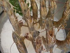 -王家渡火锅店(棕榈泉店)