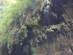 -阿依河景区