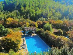 -看见远方·莫干遥远的山民宿