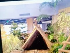 -云里小坐·海泉湾·团建·宴席·下午茶(金堂海泉湾店)