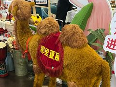 -耶里夏丽·丝路新疆菜·清真食品(徐汇南丹东路臻选店)