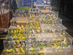 -青石桥花鸟鱼虫市场(叠翠城店)