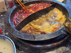 -蜀大侠火锅(总府路店)