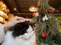 -自由生长植物工作室(深港花卉中心店)