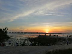 -宝安西湾红树林湿地公园