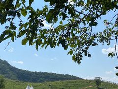 -潭柘厚院(桑峪村店)