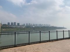 -大渡口区义渡公园