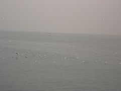 景点-栈桥景区