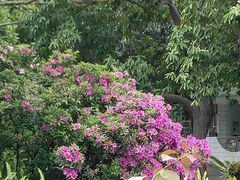 -晓港公园