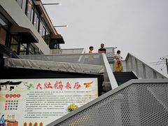 -大队长大灶鹅