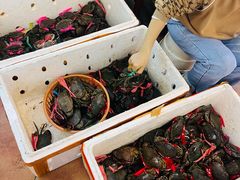 -莲花公园煎蟹(总店)