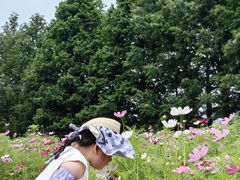 -羊亭河湿地公园