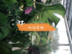 -小时光咖啡馆(北锣鼓巷店)