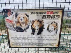 -青藏高原野生动物园