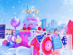-沈阳奥体冰雪嘉年华