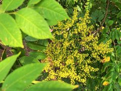 -长沙滨江文化园