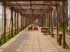 -前小桔亲子创意农场·草莓采摘·露营烧烤