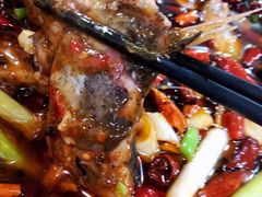 -东吴霸王兔(松青路店)