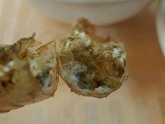 -五谷芳乳鸽王（大梅沙总店C区）(网红打卡店)