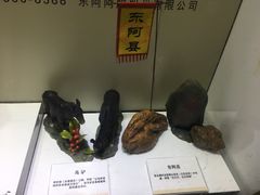 -上海市第一医药商店(南京东路店)