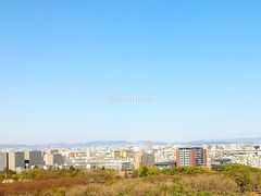 -名古屋城