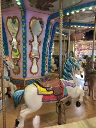 -卡通尼·Safari非洲探索乐园·生日会(金桥国际商业广场店)