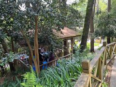 -生态园山庄(森林公园店)