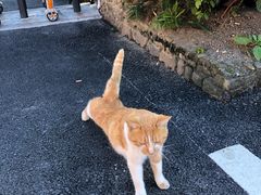 -东天目山风景区