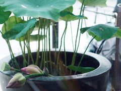 景观位-Metal hands·铁手咖啡