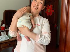 -天鹅到家·保姆月嫂育儿嫂(总店)
