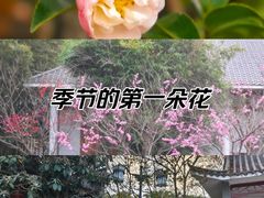 -庐山西海国际温泉度假村