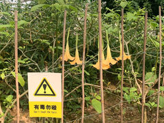 -南和农业嘉年华