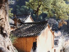 -杨家堂村