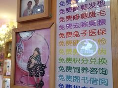 -宠物兔专门店(天丰利市场店)
