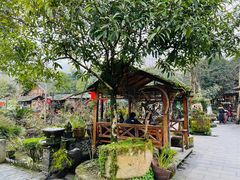 -青城甲(青城山店)