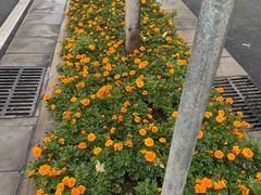 -城市运动公园(未央区)