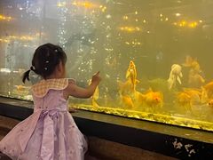 -悦鼎汇海鲜姿造