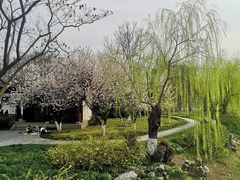 -堤角公园
