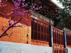-洛阳白马寺